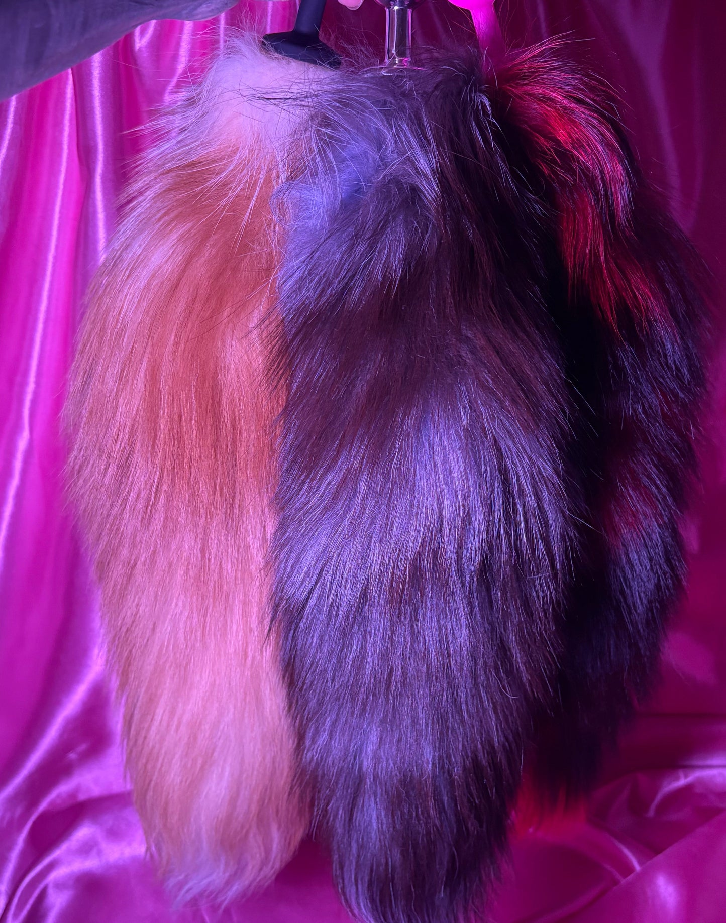 🦊 PLUGS "FOX TAIL" SILICÓN: SUAVIDAD Y JUEGO SALVAJE